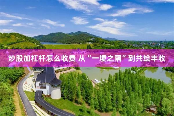 炒股加杠杆怎么收费 从“一埂之隔”到共绘丰收