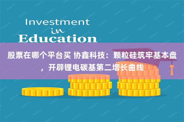 股票在哪个平台买 协鑫科技：颗粒硅筑牢基本盘，开辟锂电碳基第二增长曲线