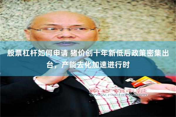 股票杠杆如何申请 猪价创十年新低后政策密集出台，产能去化加速进行时