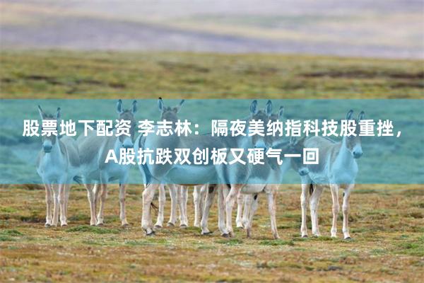 股票地下配资 李志林：隔夜美纳指科技股重挫，A股抗跌双创板又硬气一回