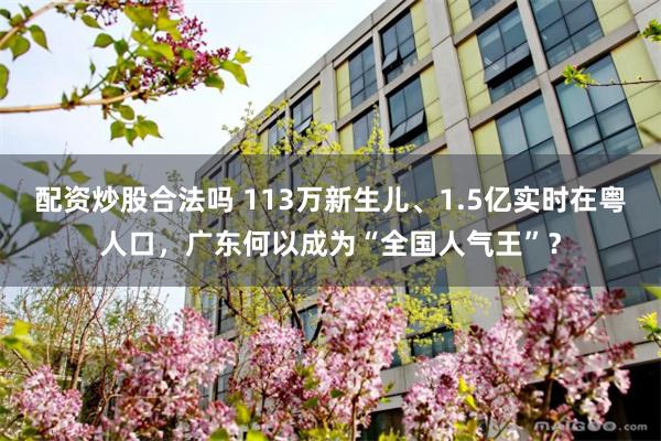 配资炒股合法吗 113万新生儿、1.5亿实时在粤人口，广东何以成为“全国人气王”？