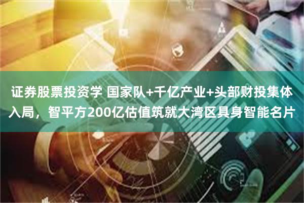 证券股票投资学 国家队+千亿产业+头部财投集体入局，智平方200亿估值筑就大湾区具身智能名片