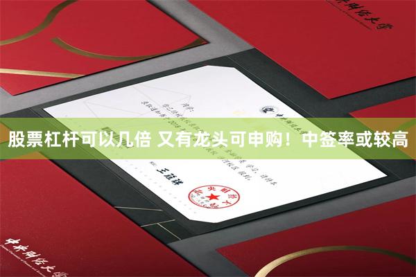 股票杠杆可以几倍 又有龙头可申购！中签率或较高