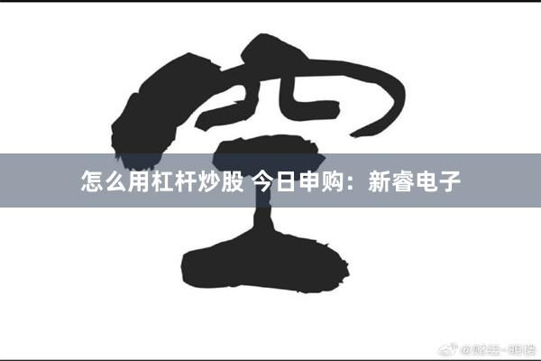 怎么用杠杆炒股 今日申购：新睿电子