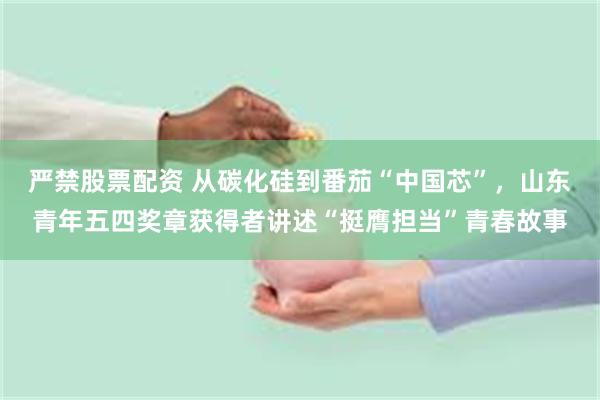 严禁股票配资 从碳化硅到番茄“中国芯”,山东青年五四奖章获得者讲述“挺膺担当”青春故事