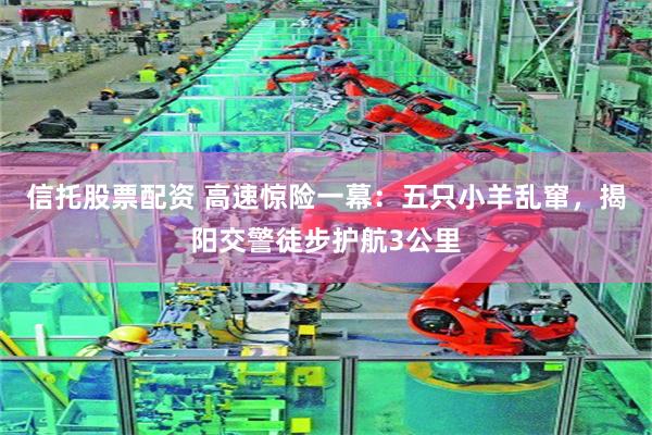 信托股票配资 高速惊险一幕：五只小羊乱窜，揭阳交警徒步护航3公里