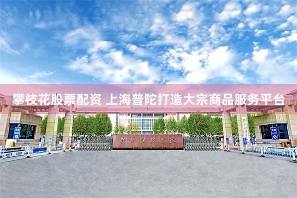 攀枝花股票配资 上海普陀打造大宗商品服务平台