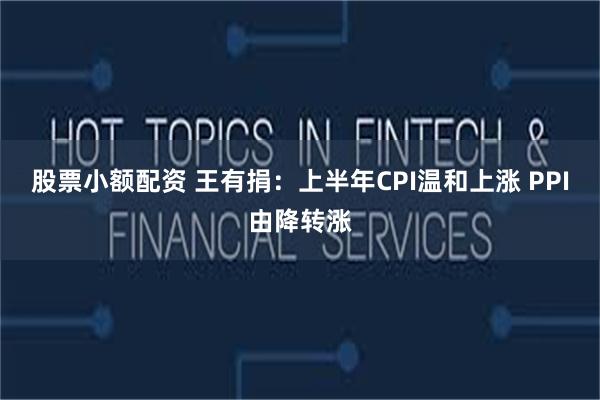 股票小额配资 王有捐：上半年CPI温和上涨 PPI由降转涨