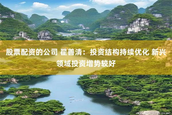 股票配资的公司 翟善清：投资结构持续优化 新兴领域投资增势较好