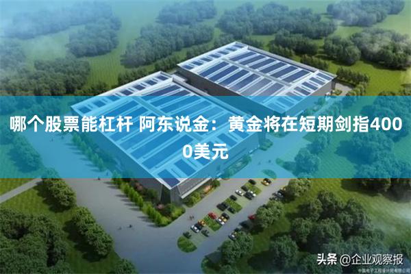 哪个股票能杠杆 阿东说金：黄金将在短期剑指4000美元