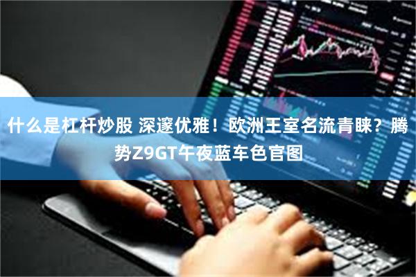 什么是杠杆炒股 深邃优雅！欧洲王室名流青睐？腾势Z9GT午夜蓝车色官图
