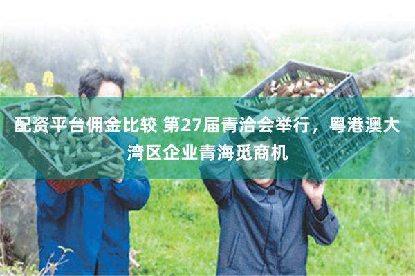 配资平台佣金比较 第27届青洽会举行，粤港澳大湾区企业青海觅商机