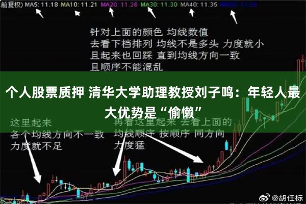 个人股票质押 清华大学助理教授刘子鸣：年轻人最大优势是“偷懒”