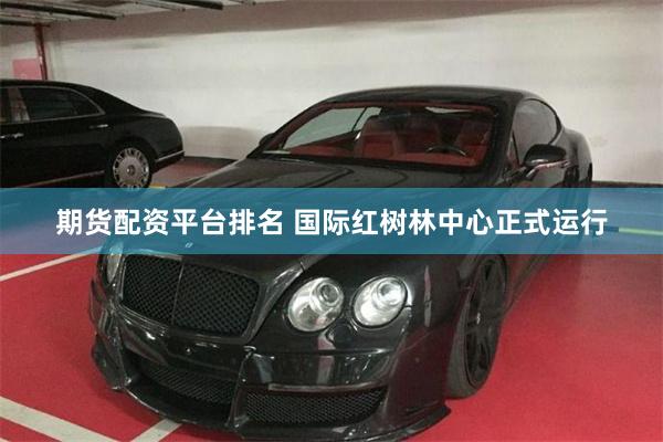期货配资平台排名 国际红树林中心正式运行