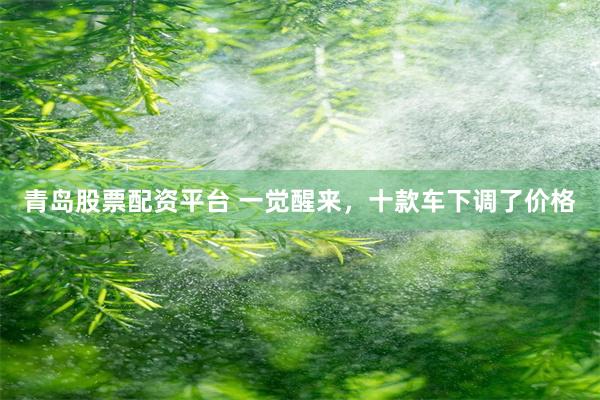 青岛股票配资平台 一觉醒来，十款车下调了价格