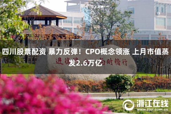 四川股票配资 暴力反弹！CPO概念领涨 上月市值蒸发2.6万亿