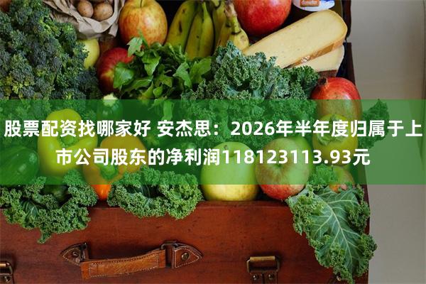 股票配资找哪家好 安杰思：2026年半年度归属于上市公司股东的净利润118123113.93元