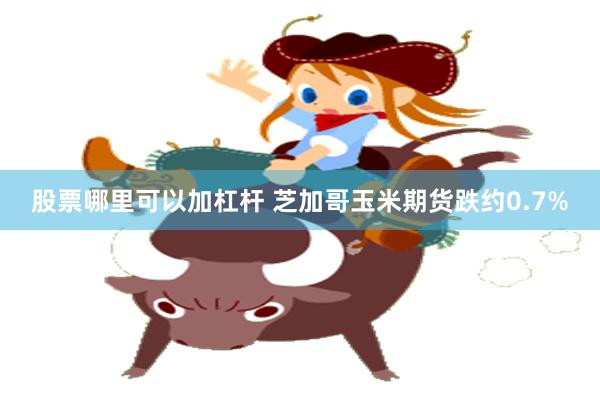 股票哪里可以加杠杆 芝加哥玉米期货跌约0.7%