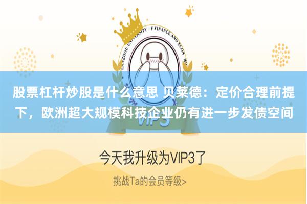 股票杠杆炒股是什么意思 贝莱德：定价合理前提下，欧洲超大规模科技企业仍有进一步发债空间