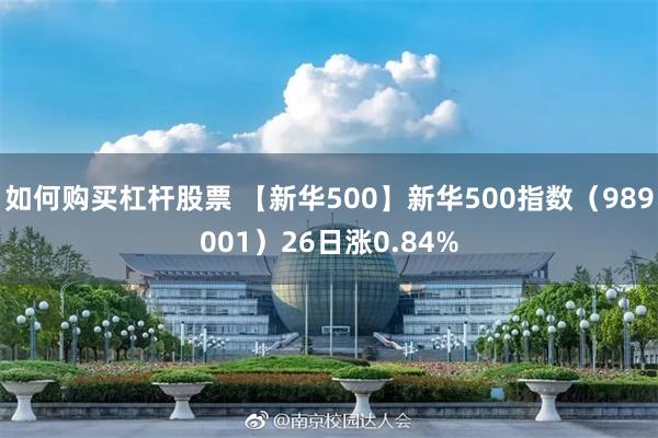 如何购买杠杆股票 【新华500】新华500指数（989001）26日涨0.84%