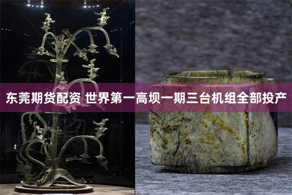 东莞期货配资 世界第一高坝一期三台机组全部投产