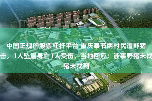中国正规的股票杠杆平台 重庆奉节两村民遭野猪攻击，1人坠崖身亡1人受伤，当地回应：涉事野猪未找到