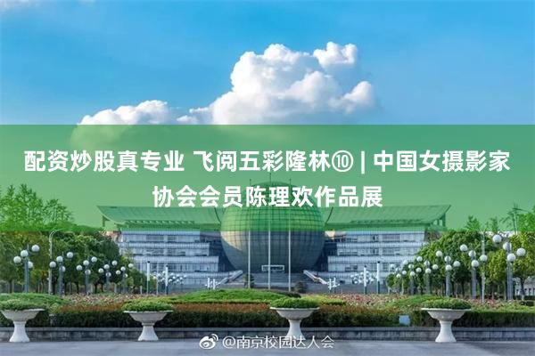 配资炒股真专业 飞阅五彩隆林⑩ | 中国女摄影家协会会员陈理欢作品展