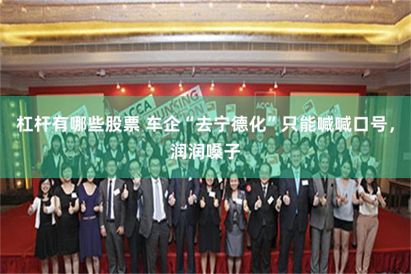 杠杆有哪些股票 车企“去宁德化”只能喊喊口号，润润嗓子