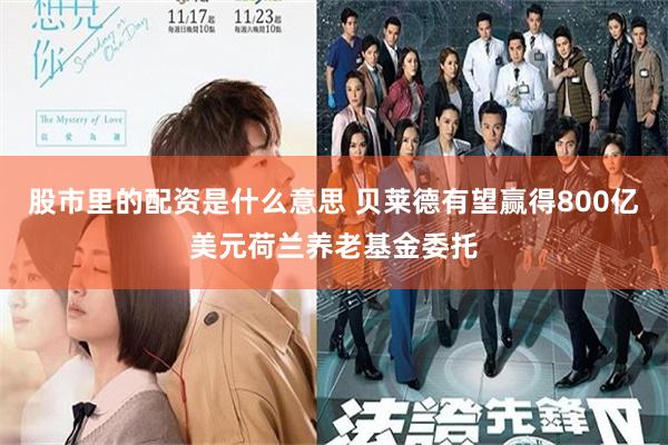 股市里的配资是什么意思 贝莱德有望赢得800亿美元荷兰养老基金委托