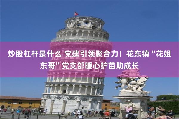 炒股杠杆是什么 党建引领聚合力！花东镇“花姐东哥”党支部暖心护苗助成长