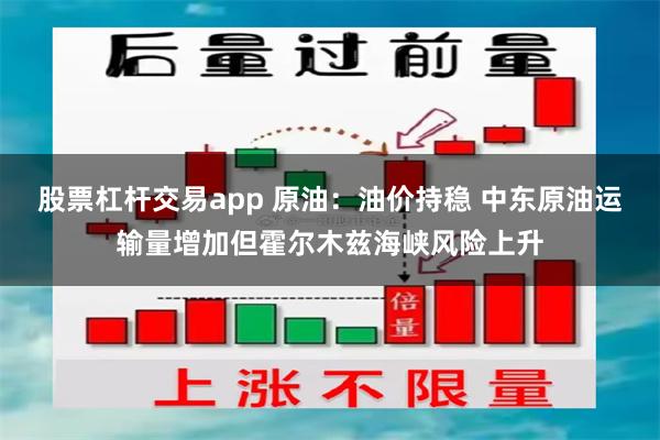 股票杠杆交易app 原油:油价持稳 中东原油运输量增加但霍尔木兹海峡风险上升