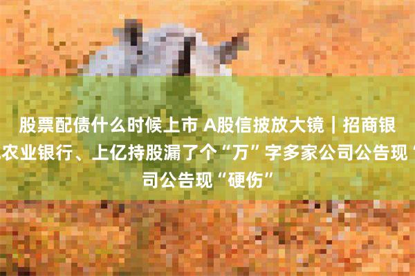 股票配债什么时候上市 A股信披放大镜｜招商银行写成农业银行、上亿持股漏了个“万”字多家公司公告现“硬伤”