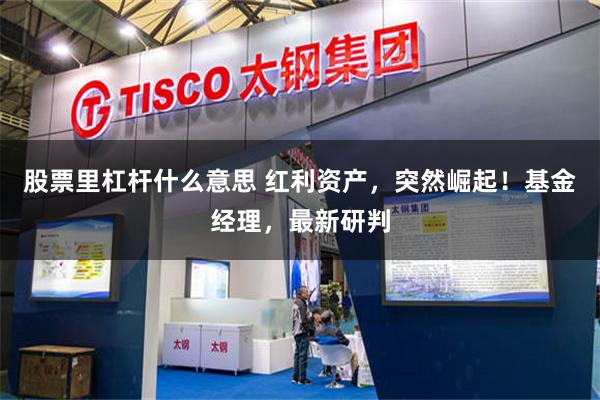 股票里杠杆什么意思 红利资产，突然崛起！基金经理，最新研判